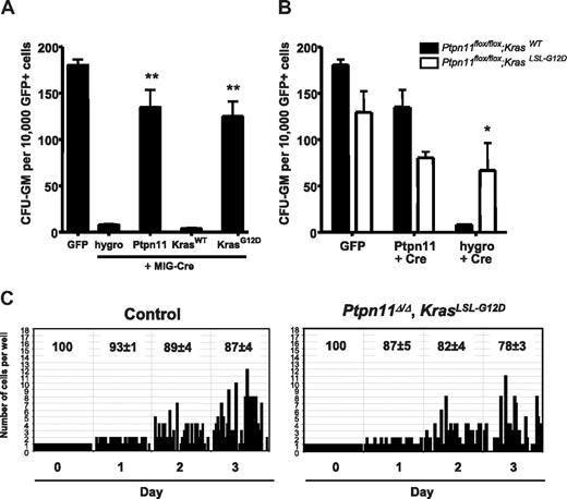 Figure 6. Expression of activated Kras compensates for loss of Ptpn11 in HSCs and progenitors. (A) Primary myeloid progenitors from embryonic day 14.5 Ptpn11flox/flox fetal livers were transduced with the indicated retroviruses, and FACS-purified GFP+ cells were cultured in methylcellulose medium containing granulocyte-macrophage colony-stimulating factor. GFP virus served as a negative control. MIG-Cre vectors were designed to coexpress the hygromycin resistance gene, WT Ptpn11, WT Kras, or activated KrasG12D. Results are shown as mean ± SEM of 3 independent experiments. *P < .05, Student t test. **P < .01, Student t test. (B) Effect of Ptpn11 loss in Ptpn11flox/flox fetal liver cells with or without an activated KrasLSL-G12D allele. Cells of the indicated genotype were transduced with GFP virus control or with MIG-Cre virus coexpressing exogenous Ptpn11 or the hygromycin resistance gene. Results are shown as mean ± SEM of 3 independent experiments. *P < .05, Student t test. (C) SLAM-HSCs from control (n = 2) and Mx1-Cre; KrasLSL-G12D; Ptpn11flox/flox (n = 4) mice were purified by FACS and deposited into 60-well plates (1 cell/well), and proliferation of each clone was evaluated microscopically over 3 days. The average percentages (± SEM) of surviving clones are shown at the top of each panel. Representative data from these experiments with similar results are shown.