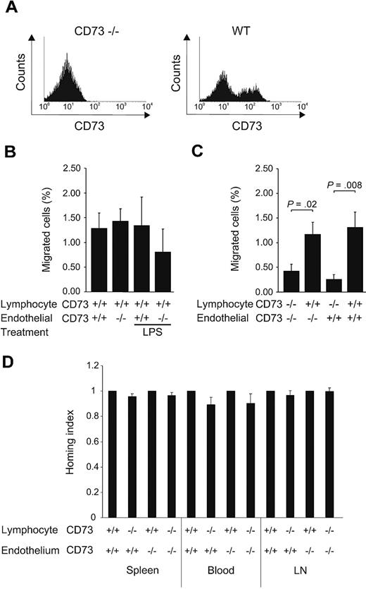 Figure 5. Lymphocyte CD73 instead of endothelial CD73 is important in migration of lymphocytes via afferent lymphatics. (A) Expression of CD73 on lymphocytes used for the transfer experiments. (B) Migration of subcutaneously injected wt lymphocytes (n = 10) from the skin into the draining lymph nodes of CD73-deficient and wt mice under normal conditions and after LPS challenge. (C) Migration of lymphocytes isolated from CD73-deficient (n = 5) and wt mice (n = 5) to the draining lymph nodes of CD73-deficient and wt recipients. Minimum of 5 mice were used as recipients in each combination. (D) Lymphocyte migration via the blood vessels. CFSE-labeled wt lymphocytes and TRITC-labeled CD73-deficient lymphocytes were injected into the tail vein of CD73-deficient (n = 7) and age-matched wt recipient (n = 7). Homing of the labeled lymphocytes to peripheral and mesenteric lymph nodes (LN), spleen, and blood was analyzed by flow cytometry. The results are presented as homing indexes (mean ± SEM).