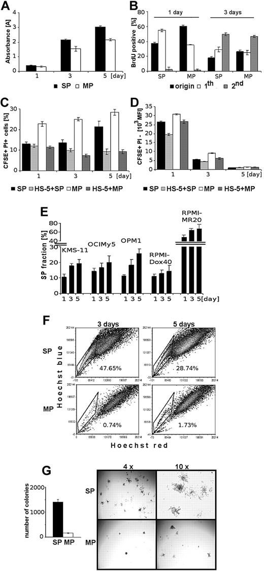 Figure 3. Viability, proliferation, and clonogenicity of sorted SP and MP cells. (A) Viability of sorted SP and MP cells at 1, 3, and 5 days was assessed by MTT. (B) Proliferation of sorted SP and MP cells was assessed by BrdU incorporation at 1 and 3 days. Percentage of cells in undivided generation (origin; undivided cells immediately after sorting measured), “1st” generation (once divided), and “2nd” generation (twice divided) are shown. (C) Viability of sorted CFSE-labeled SP and MP cells both alone or with unlabeled HS-5 BMSCs at 1, 3, and 5 days, was measured using PI staining and analyzed using a FACSCanto II flow cytometer. (D) Proliferation of sorted CFSE-labeled viable SP and MP cells is indirectly proportional to the number of cell divisions, quantified as mean of cell membrane-bound CFSE fluorescent intensity. Fluorescence intensity of CFSE+PI−-labeled SP and MP cells decreases in a time-dependent manner (1, 3, and 5 days). (E) Percentage of SP fraction in 5 MM cell lines (KMS-11, OCIMy5, OPM1, RPMI-Dox40, and RPMI-MR20) at 1, 3, and 5 days. (F) Sorted SP and MP cells cultured for 3 and 5 days were restained with Hoechst 33342. (G) The number of colonies of sorted SP and MP cells was assessed at day 14. Representative images of colonies of sorted SP and MP are shown (using an inverted Leica microscope with a Leica DFC300Fx camera (4×/0.1 and 10×/0.22; Leica IM50 image-acquisition software Version 4).