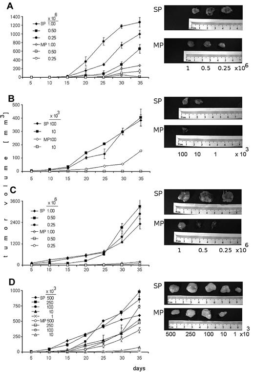 Figure 4. Tumorigenic potential of SP and MP cells. (A) CB17/SCID mice were subcutaneously inoculated with SP or MP cells from KMS11 cell line at 0.25 × 106, 0.5 × 106, and 106 cells/mouse. (B) CB17/SCID mice were inoculated with SP or MP cells from KMS11 cell line at lower numbers 1 × 103, 10 × 103, and 100 × 103 cells/mouse. (C) CB17/SCID mice were subcutaneously inoculated with SP or MP cells from OPM1 cell line at 0.25 × 106, 0.5 × 106, and 106 cells/mouse. (D) NOD/SCID mice were subcutaneously inoculated with SP and compared with MP cells from KMS11 cell line at 500 × 103, 250 × 103, 100 × 103, 10 × 103, and 1 × 103 cells/mouse. Caliper measurements of tumor diameters were done every 5 days. Representative pictures were performed using camera IVIS 1327 in the Xenogen system.