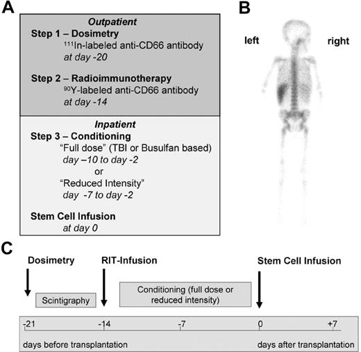 Figure 1. Treatment regimen. (A) General schedule of dosimetry, radioimmunotherapy, and further conditioning. (B) Posterior view of a γ-camera image of patient A-8 demonstrating preferential accumulation in red BM 1 day after injection of 111In-labeled anti-CD66 monoclonal antibody. (C) Time schedule of the radioimmunotherapy (RIT) conditioning regimen.