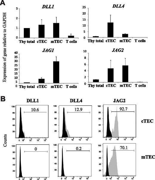 Figure 1. Jagged2 is abundantly expressed by human TECs. (A) Quantitative RT-PCR analysis of human TECs for the expression of Notch ligands, DLL1, DLL4, JAG1, and JAG2. Expression levels are normalized using the ΔΔCt method, relative to GAPDH and relative to levels in total thymus. Results show mean of 3 independent sets of samples. Errors bars represent SEM. (B) Flow cytometric analysis of Delta-like-1, Delta-like-4, and Jagged2 expression in human cTECs (top row) and mTECs (bottom row). Histogram plots show isotype control (black) versus specific Notch ligand antibody staining (gray). Data are representative for at least 2 independent donors.