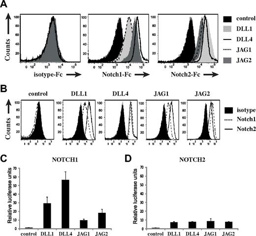 Figure 5. Ligand-specific Notch1 and Notch2 binding and signal strength transmission. (A) Staining of control-Fc, Notch1-Fc, and Notch2-Fc fusion proteins to K562 cells expressing the different Notch ligands as indicated. (B) Ligand-specific representation of the same data as in panel A. (C) Luciferase reporter assay of U2OS Tet-on flp-in-Notch1 and U2OS Tet-on flp-in-Notch2 cells cotransfected with CBF-luciferase reporter plasmid pGL2-Gal4-luciferase and the normalizing plasmid pRL-TK-expressing Renilla luciferase. After plasmid transfection, cells were cocultured with K562 expressing DLL1, DLL4, JAG1, JAG2, or control for 24 hours, and thereafter luciferase activity was measured. Bar graphs represent the average of 3 independent experiments. Errors bars represent SEM.