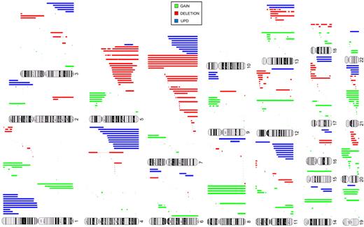 Figure 2. Types and genomic distribution of chromosomal lesions detected by SNA-A karyotyping in MDSs. Gains (green), deletions (red), and acquired somatic uniparental disomy (blue) are shown.
