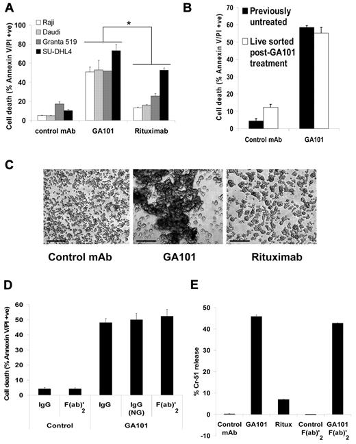 Figure 1. GA101 induces Fc-independent PCD and HA. (A) A panel of CD20-positive, human B-lymphoma cell lines was treated with 10 μg/mL mAb and cell death was analyzed after 24 hours using the annexin V–FITC/PI assay. The anti-HER2 mAb trastuzumab was used as a human IgG1 isotype control. GA101 induced significantly higher cell death than rituximab in all the cell lines tested (for Raji and Granta 519, P < .001; Daudi, P < .01; SU-DHL4, P < .03). (B) Raji cells were treated with GA101 (10 μg/mL) for 4 hours and the viable cell population was isolated, rested overnight, then re-treated with GA101 for 4 hours. Subsequently, cell death was analyzed as in panel A. Mean and SEM of 2 independent experiments are shown. Cell death induced in viable isolated cells was equivalent to that induced in previously untreated cells. (C) The extent of HA induced by mAbs (10 μg/mL) was assessed by low-magnification light microscopy 4 hours after treatment, and HA in Daudi cells is shown as an example (scale bar, 500 μm). GA101 induced superior HA than rituximab. (D) Cell death induced by GA101 in Raji cells was directly compared with that induced by a non-glycoengineered, wild-type human IgG1-bearing derivative of GA101, GA101 (NG), and F(ab)′2 fragments of GA101. All induced equivalent amounts of cell death confirming that GA101-induced cell death is Fc independent. (E) 51Cr-release cell death assay. Cells were prelabeled with 51Cr for 1 hour at 37°C before treatment with mAb and after 4 hours, 51Cr release was measured as described in “Cell death and cell viability assays.” Mean + SEM of quintuplicate samples representative of 2 independent experiments are shown. GA101 induced significantly greater 51Cr release than rituximab, and F(ab)′2 fragments of GA101 were sufficient for the induction of 51Cr release.