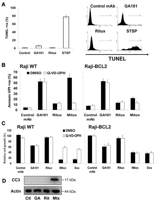 Figure 4. GA101-induced cell death is independent of DNA fragmentation, caspase activation, and BCL-2 overexpression. (A) Raji cells were treated with anti-CD20 mAb (10 μg/mL) or staurosporine (STSP, 2μM), a positive control for apoptosis, for 24 hours and DNA fragmentation was assessed using TUNEL staining analyzed by flow cytometry. Mean ± SEM of 3 independent experiments is shown on the left, with representative plots on the right. GA101 does not induce significant DNA fragmentation. (B) Wild-type Raji (left) and Raji cells that overexpress the antiapoptotic protein BCL-2, (Raji-BCL2; right), were preincubated with DMSO or Q-VD-OPH (20μM) for 30 minutes, then treated with anti-CD20 mAbs (10 μg/mL) or mitoxantrone (1 μg/mL), and cell death measured 48 hours later. Mean + SEM of 4 independent experiments are shown. Neither BCL-2 overexpression, caspase inhibition, nor a combination of both, had any impact on cell death induced by GA101, despite inhibiting mitoxantrone-induced apoptosis (P < .008). (C) Raji and Raji-BCL2 cells were treated as in panel B and growth inhibition assessed using the XTT assay as described in “Cell death and cell viability assays” 48 hours after treatment, with absorbance normalized relative to untreated cells. Mean + SEM of 4 independent experiments are shown. Caspase inhibition and BCL-2 overexpression had no impact on GA101-induced growth inhibition, both of which significantly attenuated growth inhibition induced by chemotherapy (mitoxantrone and doxorubicin, 1 μg/mL; P < .01). (D) Raji cells were treated with anti-CD20 mAbs or mitoxantrone as described above and Western blot analysis was performed for cleaved caspase 3 (CC3). No CC3 was observed following anti-CD20 mAb treatment (Ctl indicates control mAb; GA, GA101; Rit, rituximab; and Mtx, mitoxantrone).