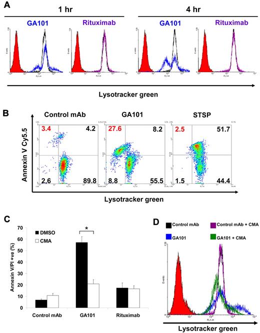 Figure 5. Lysosomal changes associated with GA101-induced cell death. (A) To determine changes in lysosomal volume, Raji cells were treated with mAbs (10 μg/mL) for 1 or 4 hours, labeled with Lysotracker green (75nM) and analyzed by flow cytometry. Histograms represent cells treated with control mAb (black), GA101 (blue), rituximab (purple), and unlabeled cells to set the background (solid red). GA101 induced an enlargement of the lysosomal compartment at 1 hour and a subsequent collapse in a subpopulation of the cells at 4 hours, whereas rituximab induced no changes in lysosomal volume. (B) To directly correlate cell death with lysosomal volume, cells were treated with mAbs. After 24 hours, cells were costained with Lysotracker green and annexin V Cy5.5 to label the dead cell population and analyzed by flow cytometry. Staurosporine (STSP) was used as a positive control for apoptosis. Cell death evoked by GA101 was associated with a collapse of the lysosomal compartment (upper left quadrant, in red). (C) Cells were preincubated with the V-ATPase inhibitor concanamycin A (CMA, 100nM) before treatment with mAbs and death was analyzed 24 hours after treatment. CMA significantly inhibited cell death induced by GA101 (*P < .001). (D) Cells were treated as above and lysosomal volume was quantified using Lysotracker green staining 1 hour after treatment. Histograms represent cells treated with control mAb (black), control mAb + CMA (purple), GA101 (blue), GA101 + CMA (green), and background (solid red). CMA prevents the increase in lysosomal volume induced by GA101.