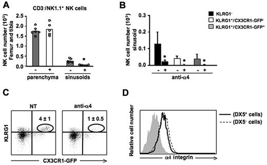 Figure 3. In vivo administration of α4 integrin neutralizing mAb promotes NK-cell mobilization from the BM sinusoids. Mice were treated with an α4 integrin neutralizing mAb for 3 hours, and BM sinusoidal NK cells were labeled by intravenous injection of 1 μg of DX5-PE mAb. Mice were killed after 2 minutes and BM cells were isolated and stained with anti-NK1.1–, anti-CD3ϵ–, and anti-KLRG1–specific mAbs. (A) Histograms show the numbers of CD3−/NK1.1+ NK cells in the BM parenchyma (DX5− cells) and sinusoids (DX5+ cells) of untreated (−) or treated (+) mice. Each dot represents the number of BM NK cells from individual animals analyzed in independent experiments. (B) Histograms show the number ± SD of sinusoidal (DX5-PE+) cells evaluated within KLRG1−, KLRG1+/CX3CR1-GFP− and KLRG1+/CX3CR1-GFP+ BM NK-cell subsets. Student t test was performed to compare untreated versus treated mice. *P < .05. (C) Dot plots show the reduction of KLRG1+/CX3CR1-GFP+ NK cells in anti-α4 integrin neutralizing mAb-treated mice compared with control mice. Numbers in dot plots indicate the percentage of the KLRG1+/CX3CR1-GFP+ NK cells (gated on CD3−/NK1.1+ cells). (D) Histogram overlay shows α4 expression on parenchymal (DX5−) and sinusoidal (DX5+) BM NK cells from 1 representative experiment of at least 3 performed.