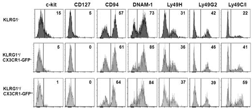 Figure 5. Characterization of surface receptor expression on KLRG1− and KLRG1+ mouse NK-cell subsets. Spleen cells were isolated from CX3CR1+/GFP mice and stained with anti-NK1.1, anti-CD3, and anti-KLRG1 together with the indicated surface marker. Histograms show expression levels of the indicated molecules on KLRG1−, KLRG1+/CX3CR1-GFP− and KLRG1+CX3CR1+ cells within NK1.1+CD3− NK-cell gate. Control for m157-Fc (Ly49H) staining was NKG2D-Fc followed by PE-conjugated anti–human IgG, while anti-Ly49C/I and anti-Ly49G2 staining controls were PE-conjugated anti–mouse IgG2a/b and anti–rat IgG, respectively (data not shown). Numbers in the histogram plots indicate the percentage of positive cells of a representative analysis of 3 experiments performed.