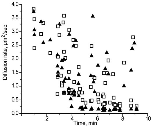 Figure 5. Diffusion rates of fibrin structures calculated by 2 different methods as a function of time. Calculations were based on the sizes (▴) or on the velocities (□) of moving structures.