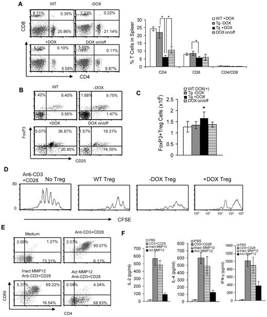 Figure 2. T-cell decrease in c-fms-rtTA/(TetO)7-CMV-MMP12 bitransgenic mice. (A) Flow cytometric analysis of CD4+ and CD8+ cells from the spleen of 3-month doxycycline-treated wild-type (WT) mice, doxycycline-treated (+DOX), doxycycline-untreated (−DOX) bitransgenic mice, and doxycycline-treated (for 2 months) followed by doxycycline-removal (for 1−month) bitransgenic mice (on/off). Results are the mean ± SD, n = 5; *P < .05. (B) A representative flow cytometric analysis showing the FoxP3 and CD25 profiles among total CD4+ T cells from the spleen of 3-month doxycycline-treated wild-type (WT) mice, doxycycline-treated (+DOX), untreated (−DOX) bitransgenic mice and doxycycline-treated (for 2 months) followed by doxycycline-removal (for 1 month) bitransgenic mice (on/off). (C) Absolute cell numbers of FoxP3+ Treg cells among total CD4+ T cells were calculated based on analyses of the above experimental groups. Results are the mean ± SD, n = 5; *P < .05. (D) CFSE-labeled CD4+ T cells were stimulated with anti-CD3 mAb plus anti-CD28 mAb for 4 days in the presence or absence of Treg cells isolated from the spleens of wild-type (WT), doxycycline-treated (+DOX) or untreated (−DOX) bitransgenic mice. The ratio between Treg:CD4+ T cells was 1:1. Proliferation of labeled CD4+ T cells was analyzed by flow cytometry. Peaks represent cell division cycle. (E) Wild-type CD4+ T cells from the spleen were cultured and stimulated with anti-CD3 mAb plus anti-CD28 mAb in the absence and presence of inactivated (inact) or activated (act) MMP12. After 72 hours, T cells were stained with anti-CD69 and CD4 Abs. A representative flow cytometric analysis is demonstrated. (F) The concentrations of secreted IL-2, IL-4, and IFNγ in the above cultured medium were measured by ELISA. Results are the mean ± SD, n = 5.