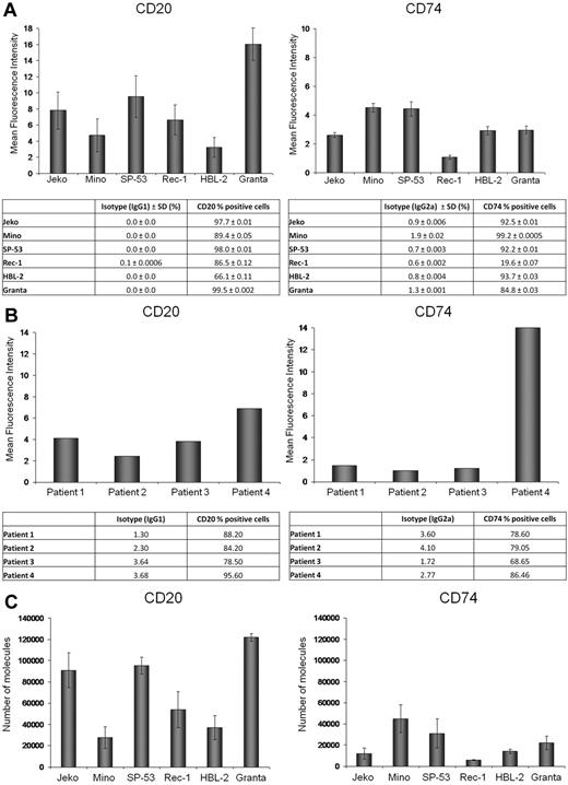 Figure 1. CD20 and CD74 expression on MCL cell lines and primary MCL tumor cells. (A-B) CD20 and CD74 MFI and the percentage of positive cells based on comparison to isotype control in 6 MCL cell lines (A) and primary cells from 4 different MCL patients (B). (C) The number of CD20 and CD74 molecules per cell in 6 MCL cell lines.