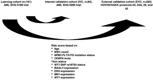 Figure 1. Scheme of score development and its validation.