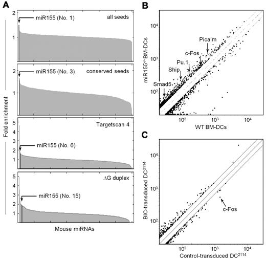 Figure 2. Identification of mRNAs that are regulated by miR155 in DCs. (A) Microarray experiments were performed to compare the gene-expression profiles of mature LPS-treated BM-DCs from WT and miR155−/− mice. The 3′UTRs of mRNAs that were significantly up-regulated in miR155−/− DCs were analyzed for the presence of potential target sites of all mouse miRNAs using 4 prediction models (all seeds, conserved seeds, Targetscan 4, and ΔG duplex). The graphs represent the fold enrichment of target sites for each miRNA. The position of miR155 and its ranking with respect to target-site enrichment are indicated for each graph. (B) Microarray data for mature LPS-treated BM-DCs from WT and miR155−/− mice are represented as a scatter plot showing average normalized signal intensities derived from 3 independent experiments. Each dot represents a probe set corresponding to one mRNA. Only dots corresponding to mRNAs exhibiting greater than a 1.5-fold difference in expression between the 2 genotypes are shown. Dots corresponding to Picalm, c-Fos, Pu.1, Ship, and Smad5 mRNAs are indicated. (C) Microarray experiments were performed to compare the gene-expression profiles of control and BIC-transduced DC2114 cells. Results are represented as a scatter plot showing average normalized signal intensities derived from 3 independent experiments. Each dot represents a probe set corresponding to one mRNA. Only dots corresponding to mRNAs exhibiting greater than a 1.5-fold difference in expression between control and BIC-transduced cells are indicated. The dot corresponding to c-Fos mRNA is indicated.