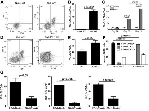 Figure 2. AML-induced PD-1+Tim-3+ liver CD8+ T cells in WT mice were dysfunctional. (A-C) B6 WT mice were injected intravenously with 106 C1498FFDsR. Liver leukocytes were isolated 14, 20, and 25 days post-AML injection. PD-1 and Tim-3 expression was determined by FACS. PD-1 and Tim-3 coexpression detected on liver CD8+ T cells 25 days post-AML injection is shown in flow dot plot (A) and bar graph (B). (C) Time course of Tim-3 expression on liver CD8+ T cells as AML progression in mice is shown. Tim-3 was up-regulated at a late phase of disease (day 20 and 25 but not day 14). (D-F) WT and PD-1 KO mice (3-4 mice/group) were injected with 106 C1498FFDsR. Liver leukocytes were isolated 25 days post-AML injection. PD-1, Tim-3, CD44, CD62L, and intracellular cytokine production was determined by flow cytometry. (D-E) Tim-3 was expressed at a higher level in PD-1 KO mice compared with WT mice. (F) Majority of PD-1+Tim-3+ CD8+ T cells was CD44+CD62L−, while PD-1−Tim-3− CD8+ T cells were mainly CD44−CD62L+. (G) PD-1– and Tim-3–coexpressing CD8+ T cells from WT mice are highly deficient in producing IFN-γ, TNF-α and IL-2 compared with PD-1-Tim-3- fraction. Data were pooled from 2 individual experiments.
