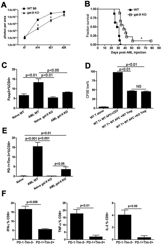 Figure 4. Gal-9 KO mice were more resistant to AML. (A-B) B6 WT or gal-9 KO mice (10 mice/group) were injected intravenously with 106 C1498FFDsR. (A) Whole-body imaging was performed on 7, 14, 21, and 28 days post-AML injection (10 mice/group). Gal-9 KO mice had a slower tumor growth compared with WT mice 14 and 21 days post-AML injection. Tumor burden was equal at a later phase of disease (day 28). (B) gal-9 KO mice had a significant prolonged survival from AML. (C-E) Naive or AML-bearing gal-9 KO mice (3-4 mice/group) were killed 25 days post-AML injection. Liver leukocytes were isolated for flow cytometry. (C) The percentage of Foxp3+ Tregs in CD4+ T cells from liver of AML-bearing gal-9 KO mice was similar to naive WT or gal-9 KO mice, while AML induced an increase in percentage of Foxp3+ Tregs in WT mice. (D) An in vitro Treg suppression assay was performed with WT and gal-9 KO Tregs. Gal-9 KO Tregs could inhibit CD8+ T cells proliferation at a comparable level to WT Tregs. Data were pooled from 2 individual experiments (7 mice total). (E) The percentage of PD-1+Tim-3+ CD8+T cells was increased in the liver of AML-bearing gal-9 KO mice but to a lesser extent than in AML-bearing WT mice. Data were pooled from 2 individual experiments (7 mice total). (F) Impaired IFN-γ, TNF-α, and IL-2 production was found in PD-1+Tim-3+ CD8+ T cells in AML-bearing gal-9 KO mice. Data were pooled from 2 individual experiments (6 mice total).