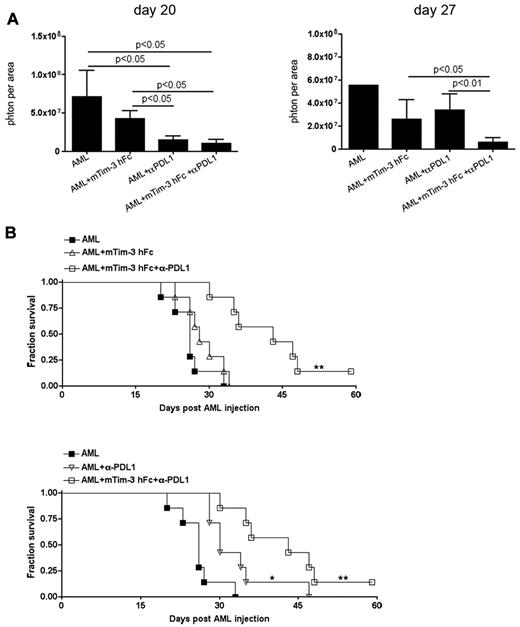 Figure 6. Combined mTim-3 hFc and anti-PDL1 treatment had an additive antitumor effect in an established AML model. B6 mice (10 mice/group) were injected iv with 1 × 106 C1498FFDsR cells. Ten days after AML injection, mice were treated with mTim-3 hFc (100 μg/dose), anti-PD-L1 (200 μg/dose) or combination of both every other day for total of 5 doses. (A) Bioluminescence imaging was performed 14 (not shown), 20 and 27 days post-AML injection (10 mice/group). Mice treated with mTim-3 hFc alone had similar tumor burden to nontreated controls. Anti-PD-L1 mAb single treatment significantly reduced tumor burden on days 14 (not shown) and 20. Mice receiving the combination therapy had decreased tumor burdens at all 3 time points. (B) mTim-3 hFc treatment did not alter the survival of AML-bearing mice. Anti-PD-L1 mAb alone significantly prolonged survival from AML compared with controls (▿ vs ■, P < .01). Combined therapy had superior effect on the survival over either treatment alone (□ vs ▵ and ▿, P < .01). Survival analysis was plotted according to the Kaplan-Meier method, and statistical differences were determined with the log-rank test. Error bar represents SEM.