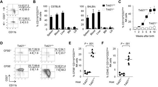 Figure 1. CD11bhiCD27low NK cells are absent in Txb21−/− mice but can be rescued in a Txb21+/+ environment. (A) Expression of CD11b and CD27 in spleen NKp46+CD3− NK cells of Txb21+/+ (top panel) and Txb21−/− (bottom panel) C57BL/6 mice. (B) Frequency (mean ± SD) of CD11bhiCD27low NK cells of 6 mice per genotype in the indicated organs. (C) Frequency (mean ± SD) of CD11bhiCD27low NK cell of Txb21+/+ and Txb21−/− C57BL/6 mice prepared from spleen of 5 mice per genotype at the ages indicated. (D) Txb21−/− spleen cells were labeled with CFSE and injected intravenously into Txb21−/− or Txb21+/+ hosts. Shown is the expression of CD11b and CD27 in the transferred CFSE+ (top panels) and host CFSE− (bottom panels) NKp46+CD3− NK cells in Txb21−/− (left panels) and Txb21+/+ (right panels) hosts. (E) Frequency of CFSE+ CD11bhiCD27low NK cells in 5 Txb21−/− and 5 Txb21+/+ mice. (F) Six Txb21+/+ and 5 Txb21−/− CD45.1 host mice were irradiated and transferred with Txb21−/− CD45.2 BM cells. Shown is the frequency of donor CD45.2 CD11bhiCD27low NK cells. (E-F) Bars represent the means within the groups.