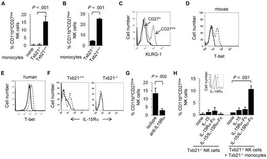 Figure 3. Mouse monocytes promote NK-cell differentiation. Mouse Txb21+/+ and Txb21−/− monocytes were cocultured with Txb21−/− (A) or Txb21+/+ (B) NKp46+CD3−CD27+ NK cells, and the appearance of CD27− NK cells was evaluated 24 hours later. Shown is a representative experiment of 3. (C) KLRG-1 expression in Txb21−/− CD27hi (solid line) and CD27low (dotted line) NK cells cocultured with monocytes as in panel D. (D) Intracellular T-bet expression in enriched mouse monocytes cultured in the presence (dotted line) or the absence (solid line) of 100 ng/mL mouse IFN-γ. (E) Intracellular T-bet expression in CD14-enriched human peripheral blood mononuclear cell monocytes cultured in the presence (dotted line) or the absence (solid line) of 100 ng/mL human IFN-γ. (F) Surface expression of IL-15Rα (dotted lines) on mouse Txb21+/+ (left panel) and Txb21−/− (right panel) mouse monocytes enriched and cultured as before; solid lines indicate isotype controls. (G) Enriched mouse monocytes and Txb21−/− NK cells were cocultured as before in the presence of blocking anti-IL-15Rα antibodies or isotype as controls. Shown is the frequency (mean ± SD) of CD27low NK cells 24 hours after culture, of 3 independent experiments. (H) Txb21−/− NK cells were cultured with IL-15, IL-15Rα-Fc, or IL-15/IL-15Rα-Fc complexes, in the presence or the absence of Txb21−/− monocytes. In the latter, monocytes were preincubated with cytokines or complexes before coculture with NK cells. Shown is the frequency of CD27low NK cells 24 hours after culture. (Inset) The expression of IL-15Rα in the surface of Txb21−/− monoyctes that were preincubated with IL-15/IL-15Rα-Fc complexes (dotted line); solid line indicates the staining of monocytes preincubated with phosphate-buffered saline.