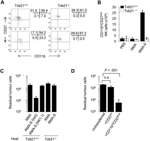 Figure 4. Txb21-deficient NK cells fail to reject MHC class I-negative tumors. (A) CD11b and CD27 expression in peritoneal NKp46+CD3− NK cells in Txb21+/+ (left panels) and Txb21−/− (right panels) mice injected with RMA (top panels) or RMA-S (bottom panels) 48 hours after tumor inoculation. (B) Absolute CD11bhiCD27low NK-cell number (mean ± SD) in the peritoneum of tumor injected mice from 2 independent experiments with 5 mice per group. (C) RMA and RMA-S tumor cells were labeled with CMTMR and CFSE, respectively, and coinjected into Txb21+/+ and Txb21−/− C57BL/6 mice. Forty-eight hours after tumor challenge, peritoneal cells were recovered and analyzed by flow cytometry for CFSE and CMTMR. Data are mean ± SD residual tumor cells of 3 independent experiments, including 3 mice per group. (D) A total of 2 × 105 RMA-S-CFSE tumor cells were injected into Txb21−/− mice as in panel C, and mice were transferred intravenously with spleen CD27hi or CD11bhiCD27low NK cells enriched from Txb21+/+ mice. Forty-eight hours after tumor injection, peritoneal cells were recovered and analyzed by flow cytometry for CFSE. Data are mean ± SD of 2 independent experiments, including 4 mice per group.