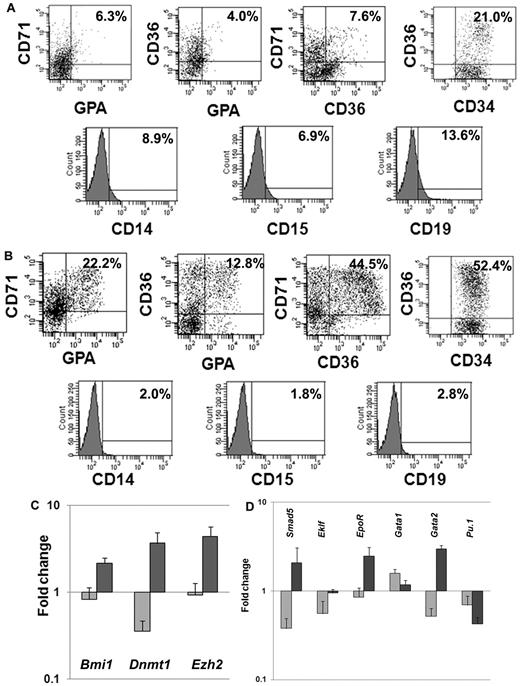 Figure 2. Phenotypic and genetic analyses of hematopoietic cells after ex vivo cell culture. (A) Phenotypic analyses of VPA-treated CD34+ cells: CD34+ cells after 7 days of culture in the presence of cytokines alone or cytokines + VPA were analyzed by flow cytometrically. The expression of erythroid-specific markers (CD36, CD71, and GPA) and nonerythroid markers (CD14, CD15, and CD19) was assessed with appropriate lineage-specific monoclonal antibodies. For each mAb, the corresponding anti-isotype antibody was used in parallel to test the specificity of staining. Dot plots represent the percent expression of particular markers in day-7 cultures (n = 4, 1 of the 3 representative experiments is shown). (A) Cytokines alone; (B) cytokines + VPA. (C-D) Fold change in expression levels of genes associated with HSC/HPC and erythroid commitment: effects of VPA treatment on the relative transcript levels of genes (Dnmt1, Bmi1, Smad5, Ezh2, Eklf, EpoR, GATA1, GATA2, and Pu.1) was calculated by SYBR Green Q-PCR. Total RNA was extracted from primary CD34+ cells (day 0) and CD34+ cells isolated after 7 days of culture in the presence of cytokines with or without VPA treatment. GAPDH and tubulin was used as internal housekeeping genes. A relative mean normalized fold change in mRNA expression of VPA-treated CD34+ cells and CD34+ cells from cultures with cytokines alone were compared with the expression of these same genes in primary CB-CD34+ cells. Measurements were obtained in triplicate and a negative control (lacking the cDNA template) was included in each assay. , cytokines alone; , cytokines + VPA (n = 4).