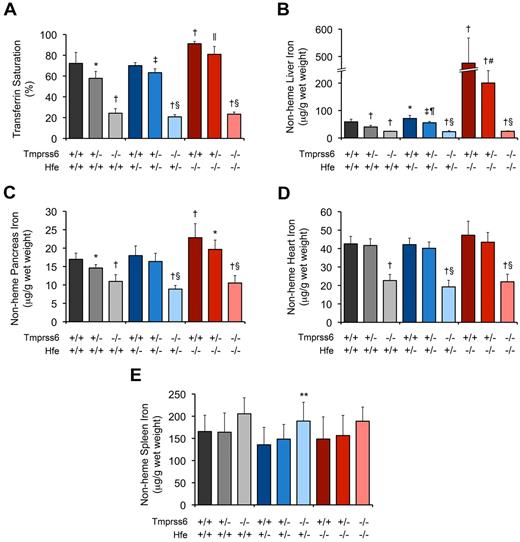 Figure 1. Tmprss6 deficiency modifies systemic iron homeostasis in 8-week-old Hfe−/− mice. (A-E) Analysis of serum and tissue iron parameters in 8-week-old female mice of all Hfe-Tmprss6 genotype combinations. Graphed are mean values obtained from analyses of TS (A) and nonheme iron concentrations of liver (B), pancreas (C), heart (D), and spleen (E). For each parameter shown, the number of mice per genotype analyzed was as follows, with exceptions shown in parentheses: 7 Hfe+/+Tmprss6+/+, 8 Hfe+/+Tmprss6+/−, 5 Hfe+/+Tmprss6−/−, 9 Hfe+/−Tmprss6+/+ (8 for TS), 9 Hfe+/−Tmprss6+/−, 8 Hfe+/−Tmprss6−/−, 8 Hfe−/−Tmprss6+/+, 8 Hfe−/−Tmprss6+/−, and 7 Hfe−/−Tmprss6−/− mice. Error bars represent SD. *P < .05 compared with Hfe+/+Tmprss6+/+; †P < .005 compared with Hfe+/+Tmprss6+/+; ‡P < .005 compared with Hfe+/−Tmprss6+/+; §P not significant compared with Hfe+/+Tmprss6−/−; ‖P < .05 compared with Hfe−/−Tmprss6+/+; ¶P < .005 compared with Hfe+/+Tmprss6+/−; #P < .005 compared with Hfe−/−Tmprss6+/+; and **P < .05 compared with Hfe+/−Tmprss6+/+ mice.