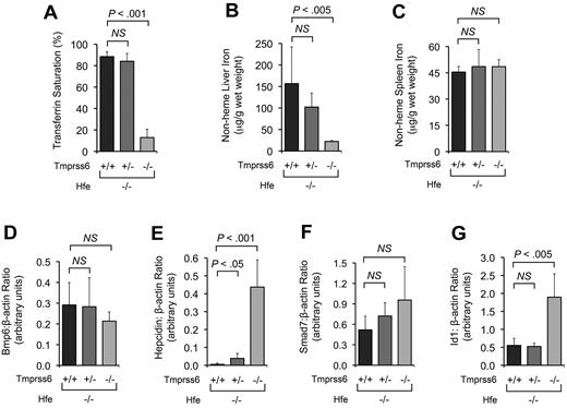 Figure 3. Tmprss6 deficiency modifies systemic iron homeostasis in 4-week-old Hfe−/− mice. (A-C) Effect of Tmprss6 genotype on serum and tissue iron parameters of 4-week-old female Hfe−/− mice. Graphed are mean values obtained from analyses of TS (A), LIC (B), and spleen nonheme iron concentration (C) in 8 Hfe−/−Tmprss6+/+, 8 Hfe−/−Tmprss6+/−, and 6 Hfe−/−Tmprss6−/− mice. (D-G) Effect of Tmprss6 genotype on hepatic mRNA expression of genes involved in Bmp/Smad signaling in 4-week-old female Hfe−/− mice. Graphed is the mean mRNA expression of Bmp6 (D), hepcidin (Hamp; E), Smad7 (F), and Id1 (G) relative to β-actin (Actb) in 6 mice per genotype. Error bars represent SD. NS indicates not significant.