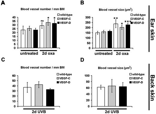 Figure 3. Enlargement of blood vessels during acute skin inflammation. (A-B) Immunofluorescence analyses for the blood vessel-specific marker MECA-32 and subsequent morphometric quantification showed a significant increase in blood vessel number per millimeter basement membrane (BM) in K14-VEGF-C and K14-VEGF-D Tg mice at 2 days after oxazolone challenge (2-day oxa), compared with untreated mice (A). The blood vessel size was also increased in all 3 groups of mice at 2 days of oxazolone challenge, compared with untreated mice of the same genotype (B). There was no significant difference in blood vessel number (A,C) or blood vessel size (B,D) at 2 days after oxazolone challenge or UVB irradiation (2-day UVB) between K14-VEGF-C, K14-VEGF-D Tg, and wild-type mice. (A-B) Quantification of ear skin. (C-D) Quantification of back skin. (A-D) Data are mean ± SD. *P ≤ .05. **P ≤ .01. ***P ≤ .001. ns indicates not significant versus untreated mice of the same genotype.