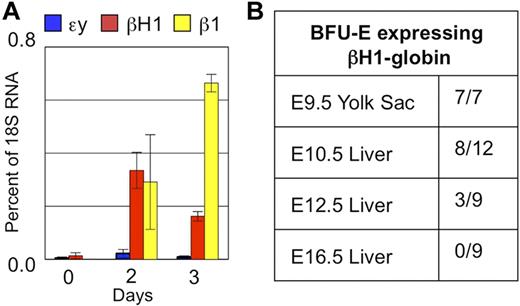 Figure 4. βH1-globin expression is associated with yolk sac–derived definitive hematopoietic progenitors. (A) E9.5 yolk sac progenitors (c-kithi, CD41hi) cultured in a 2-step erythroid differentiation assay express βH1-globin as they mature and switch to predominantly β1-globin expression. SEM of 3 experiments is indicated by error bars. (B) Globin expression of cells derived from individual BFU-E–derived cultures expressing βH1-globin are only found in the yolk sac and early fetal liver. Pale red BFU-E colonies at day 2 to 4 methylcellulose cultures were analyzed individually by qPCR for expression of εy-, βH1-, and β1-globin. Proportions of colonies with βH1-globin expression over the total colonies analyzed are shown.