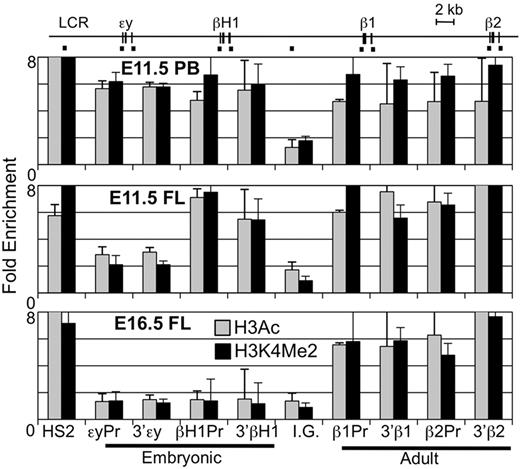 Figure 6. Unique chromatin modification patterns of the β-globin locus in primitive, EMP-derived fetal, and HSC-derived adult erythropoiesis. ChIP of modified histones (H3Ac or H3K4Me2) in the β-globin locus. Locations of amplimers are indicated by black bars in the diagram above and enrichments graphed in order below. Enrichment of H3Ac and H3K4Me2 was found in primitive erythroid cells from E11.5 peripheral blood (PB) in both embryonic and adult globin genes regions but only in adult genes in later fetal liver (E16.5 FL). E11.5 fetal liver had enrichment of modified histones over the adult genes and the βH1-globin gene but not εy-globin. Error bars represent the SEM and n = 3.