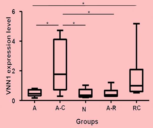 Real-time PCR validation of VNN1 expression in different ITP groups and healthy controls. Five groups of samples were included in the validation: self-limited acute ITP (A; n = 8), chronic acute to chronic ITP during the acute phase (A-C; n = 7), healthy control (n, n = 5), resolved acute ITP (A-R; n = 6), and chronic ITP resistant to multiple treatments (RC; n = 6). The nonparametric Mann-Whitney 2-tailed test was performed in the statistical analysis. At the transcriptional level, VNN1 expression in the A-C group is significantly higher compared with the A (P = .0093), N (P = .0177), and A-R (P = .0221) groups; VNN1 expression in the RC group is significantly higher than in the A group (P = .0127). The upper and lower limits of each box represent the 75th and 25th percentiles, respectively; the horizontal lines inside the boxes represent medians; and the whiskers, extreme measurements.