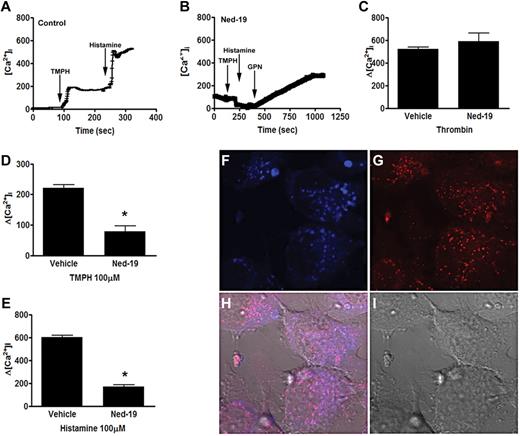 Figure 5. Inhibition of the NAADP receptor using the selective antagonist Ned-19. (A) EA.hy926 cells were treated with vehicle alone for 20 minutes and then stimulated with TMPH followed by histamine (representative trace). (B) Cells were treated with 50μM Ned-19 for 20 minutes followed by stimulation with TMPH, histamine, and then 50μM GPN (representative trace). (C) Cells were treated with 50μM Ned-19 for 20 minutes, then stimulated or not with 2 U/mL thrombin. (D) Summary of responses to TMPH. (E) Summary of responses to histamine. Images show (F) Ned-19 staining, (G) lysotracker red staining, (H) merged image, and (I) brightfield image. Cells were viewed on a Zeiss 510 META confocal microscope with a plan apochromat objective 63× oil immersion aperture 1.4, at room temperature in Hanks buffer, and analyzed with LSM Software. Where applicable, error bars represent SEM; n = 3 independent experiments; *P < .05 by Student t test.