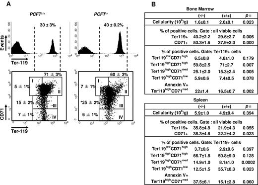 Figure 4. Erythroid differentiation is blocked at the late erythroblast stage in PCFT−/− mice. (A) BM cells of the indicated mice were analyzed by FACS for expression of the designated differentiation markers. Dashed vertical lines in the top histograms indicate the Ter119+ cells analyzed in the bottom density plots. Rectangular gates represent proerythroblasts (I), early basophilic precursors (II), late basophilic and chromatophilic erythroblasts (III), and orthochromatophilic eryhthroblasts and reticulocytes (IV). Fraction of cells in the different maturation stages are indicated close to the respective gates (mean ± SEM; n = 10 mice each cohort). BM and splenic cellularity and the percentages of erythroid progenitor subsets in the BM and spleen, including the percentages of annexin V+ intermediate erythroblasts, are summarized in panel B (mean ± SEM; n = 10 mice each cohort). Data are from one of 2 independent experiments showing similar results. *P < .05 compared with WTs.