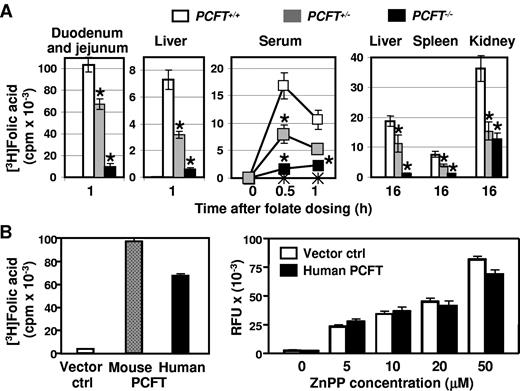 Figure 6. PCFT is essential for intestinal folate uptake and tissue accumulation. (A) In vivo uptake of tritiated folic acid to the indicated tissues was measured at the time points shown. (B) Uptake of folate and zinc protoporphyrin (ZnPP) by HEK293 cells transiently transfected with vector only or with mouse or human PCFT, as indicated, was measured. Data are presented as in Figure 2. *P < .05.