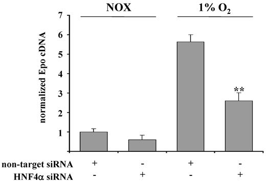 Figure 5. Role of HNF4α in hypoxia-induced EPO expression in REPCs. SiRNA-mediated knockdown of HNF4α significantly inhibited hypoxia-induced EPO expression. EPO mRNA was quantitated by real-time PCR and normalized to β-actin. Shown are the means ± SD; n = 6; **P < .01.