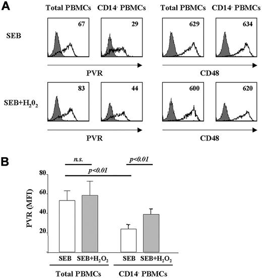 Figure 5. ROS produced by monocytes contribute to PVR expression on Ag-activated T cells. (A) CFSE-labeled PBMCs were immunodepleted or not depleted of CD14+ cells. Total PBMCs or CD14− PBMCs were stimulated with SEB for 2 days and treated or not with H2O2 (100μM). Staining and FACS analysis were performed after an additional 24 hours on CFSElow T cells, as described in the legend to Figure 3A. CD48 expression was analyzed as a control. Filled histogram shows the isotypic control mAb, and the black line shows PVR or CD48. PVR or CD48 MFI values subtracted from isotypic control mAb value are shown. (B) Mean values of MFI ± SD of PVR expression on total and CD14− PBMCs treated or not with H2O2 (100μM) from 3 different donors tested. Statistical analysis was with the Student paired t test.