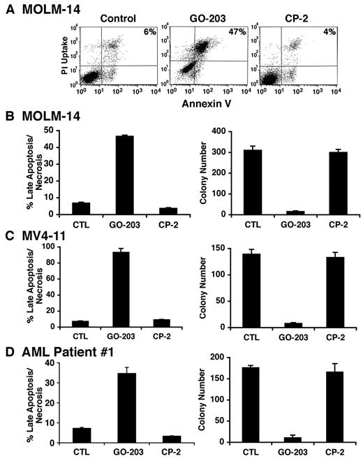 Figure 4. GO-203 induces late apoptosis/necrosis of AML cells. (A) MOLM-14 cells were left untreated, and treated with 5μM GO-203 or 5μM CP-2 each day for 3 days. The cells were stained with PI and annexin V, and analyzed by flow cytometry. The percentage of MOLM-14 cells staining with both PI and annexin V is indicated in the upper right panels. (B-D) MOLM-14 (B), MV4-11 (C) and AML patient 1 (D) cells were left untreated, and treated each day with 5μM GO-203 or 5μM CP-2. The MOLM-14, MV4-11 and AML patient 1 cells were harvested on days 3, 3, and 4, respectively. The results obtained from staining with PI/annexin V are expressed as the percentage of cells (mean ± SD of 3 determinations) with late apoptosis/necrosis (left). The cells were also seeded in agar in the absence of drug and colonies were counted at 14 days. The results are expressed as the number of colonies (mean ± SD of 3 determinations) (right).