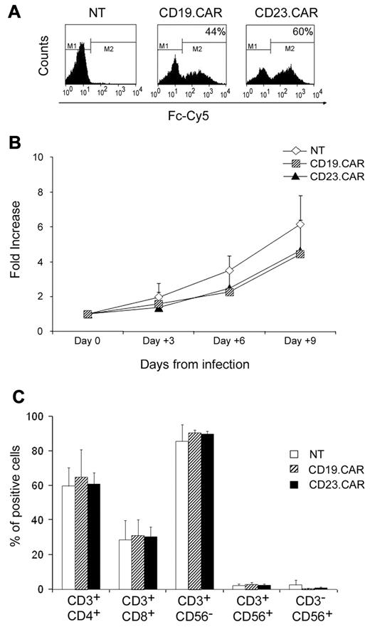 Figure 1. Activated T lymphocytes can efficiently express either CD23.CAR or CD19.CAR. (A) CAR expression in CD19.CAR- and CD23.CAR-redirected T lymphocytes for one representative experiment of 10. Control NT T cells were also included. (B) Median expansion (-fold) of NT, CD19.CAR+, and CD23.CAR+ T lymphocytes generated from healthy donors and cultured for 9 days with IL-2 on retroviral-mediated gene transfer. Mean and SDs are shown for 8 different T-cell lines. (C) Phenotype of NT, CD19.CAR+, and CD23.CAR+ T lymphocytes generated from healthy donors and stained for 3 days on retroviral gene transfer. Data represent the means ± SD for 6 different T-cell lines.