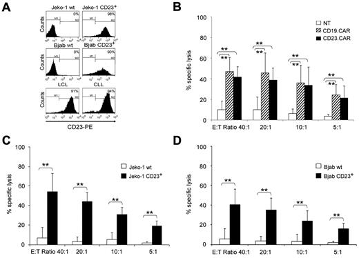 Figure 2. CD23.CAR+ and CD19.CAR+ T lymphocytes have equal cytotoxic activity against CD19+CD23+ tumor cells. (A) Expression of CD23 antigen on target cells used in the cytotoxicity assay. (B) Cytotoxic activity of CD19.CAR+ and CD23.CAR+ T lymphocytes obtained from healthy donors against CD23+ LCL targets. Cytotoxic activity was evaluated in a standard 4-hour 51Cr-release assay, and results are shown at E:T ratios of 40:1, 20:1, 10:1, and 5:1. Data represent the means ± SD of 7 different T-cell lines. **P ≤ .005 comparing NT and CAR+ T cells. The difference between the cytotoxic activity of CD19.CAR+ and CD23.CAR+ T lymphocytes was not statistically significant at any given E:T ratio. (C) Cytotoxic activity of CD23.CAR+ T lymphocytes generated from healthy donors against the wild-type Jeko-1 cell line or CD23+ cells. Cytotoxic activity was evaluated in a 51Cr-release assay, and results are shown at E:T ratios of 40:1, 20:1, 10:1, and 5:1. Data represent the means ± SD for 6 different T-cell lines. **P ≤ .005 comparing NT and CAR+ T cells. (D) Cytotoxic activity of CD23.CAR+ T lymphocytes generated from healthy donors against the wild-type BJAB cell line or CD23+ cells. Cytotoxic activity was evaluated in a 51Cr-release assay, and results are shown at E:T ratios of 40:1, 20:1, 10:1, and 5:1. Data represent the means ± SD for 6 different T-cell lines. **P ≤ .005 comparing NT and CAR+ T cells.
