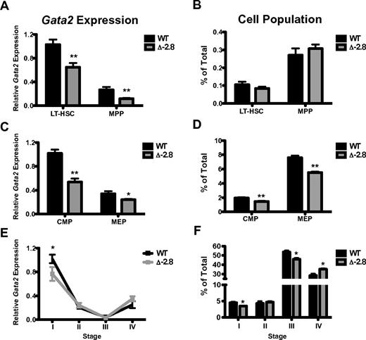 Figure 1. −2.8 kb GATA switch site regulates Gata2 expression in hematopoietic stem and progenitor cells, but is dispensible in erythroid cells. Gata2 expression within LT-HSC and MPP populations (LT-HSC defined as Lindimckit+Sca1+CD150+ and MPP defined as Lindimckit+Sca1+CD34+ or Lindimckit+Sca1+CD150−) from E12.5 fetal livers normalized to β-actin (A). Frequencies of LT-HSCs and MPPs in wild-type and Δ-2.8 fetal livers (B). Gata2 expression within CMP and MEP populations (with CMP defined as LindimSca1−,c-kit+CD34+, FcγR− and MEP defined as Lindim Sca1−c-kit+CD34−, FcγR−) from E12.5 fetal livers normalized to β-actin (C). Frequencies of CMPs and MEPs from wild-type and Δ-2.8 fetal livers (D). Gata2 expression was assessed by qPCR in Stage I through Stage IV sorted erythroid cells, corresponding to CD71loTer119− (committed erythroid progenitors, Stage I), CD71hiTer119− (proerythroblasts, Stage II), CD71hiTer119+ (basophilic erythroblasts, Stage III), and CD71loTer119+ (late erythroblasts, Stage IV) from wild-type and Δ-2.8 embryos. (E). Relative number of cells in Stage I-IV was determined in wild-type and Δ-2.8 E13.5 fetal liver cells, based on CD71 and Ter119 expression (F). Mean ± SEM. Statistical significance was assessed by 2-sided Student t test. *P ≤ .05 and **P ≤ .01.