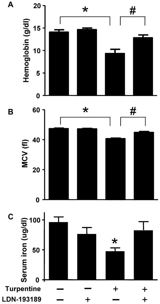 Figure 4. LDN-193189 prevents the development of turpentine-induced anemia. C57BL/6 mice were injected once a week with turpentine (5 mL/kg intrascapularly) or saline for 3 weeks, while receiving daily injections of LDN-193189 (3 mg/kg IP) or vehicle. Blood Hb levels (A) were reduced by repeated turpentine injection, not affected by LDN-193189 treatment alone, and were increased to levels of untreated mice in turpentine-injected mice treated with LDN-193189 (n = 7 mice each, *,#P < .0001 turpentine-injected vs saline-injected controls, and turpentine-injected vs turpentine-injected treated with LDN-193189). (B) Mean corpuscular volume (MCV) was decreased as a result of repeated turpentine injection, and normalized when LDN-193189 was administered in combination with turpentine (*P < .0001 turpentine-injected vs saline-injected controls, #P = .01 turpentine-injected vs turpentine-injected treated with LDN-193189). Serum iron levels (C) were similarly decreased as a result of turpentine-injection, and partially normalized by the concurrent administration of LDN-193189 (*P < .05 turpentine-injected vs saline-injected animals). Data shown are representative of 5 independent experiments.
