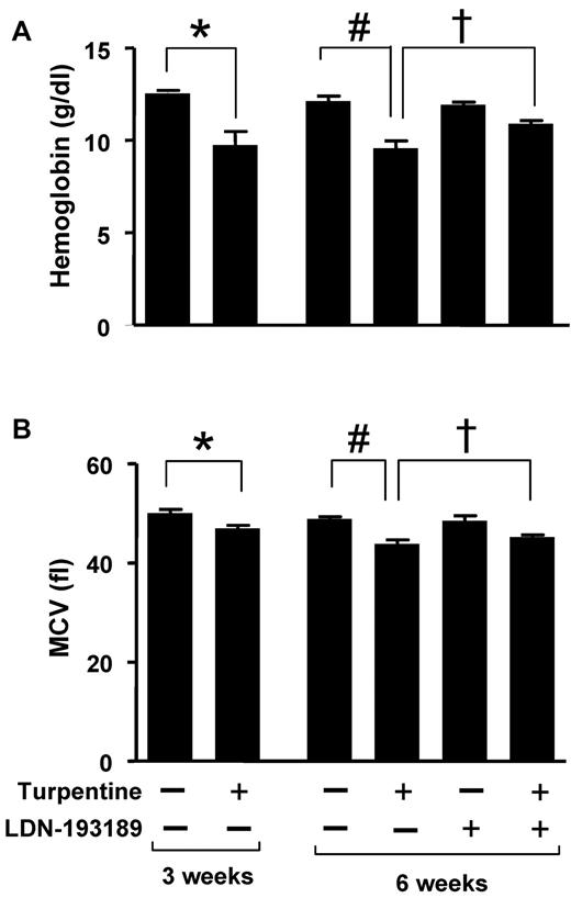 Figure 5. LDN-193189 increases Hb levels in established turpentine-induced anemia. (A-B) Mice were injected with turpentine (5 mL/kg intrascapularly) or saline weekly for 3 weeks resulting in microcytic anemia in turpentine-injected mice (left panels; n = 5 per group, *P < .05 turpentine-injected vs saline-injected controls). After 3 weeks, turpentine-treated mice were treated daily with LDN-193189 (3 mg/kg IP) or vehicle, while intrascapular turpentine or saline injections continued for an additional 3 weeks. At 6 weeks, Hb levels (A) in turpentine-injected mice were less than those in saline-injected mice, while administration of LDN-193189 by itself had no significant effect, and administration of LDN-193189 in turpentine-injected mice increased Hb levels to a significant degree (right panel; n = 5 per group, 1-way ANOVA P = .005, #P < .05 turpentine-injected vs saline-injected controls, †P < .05 turpentine-injected vs turpentine-injected mice treated with LDN-193189). MCV (B) was persistently decreased as a result of turpentine injections after 6 weeks, and tended to improve with LDN-193189 treatment (right panel; n = 5 per group, 1-way ANOVA P = .0002, #P < .01 turpentine-injected vs saline-injected controls, †P = .1 turpentine-injected vs turpentine-injected treated with LDN-193189). Data shown are representative of 3 independent experiments.
