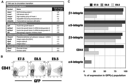 Figure 4. Changes in gene and protein expression during the transition of EryPs from the YS to the embryonic circulation. (A) Gene identifiers of EryP progenitors. Transcripts expressed by E8.5 EryPs are grouped into functional categories. The fold change from E8.5 and E9.5 is shown. Positive value, up-regulated; negative value, down-regulated. (B) FACS profiles of CD41 protein expression on ϵ-globin::H2B-EGFP embryos from E7.5-E9.5. Expression increases from E7.5-E8.5 and then declines by E9.5. Expression is undetectable at later stages (not shown). (C) FACS histograms showing down-regulation of adhesion molecules on ϵ-globin::H2B-EGFP EryPs during the transition from the YS stage to the circulation.