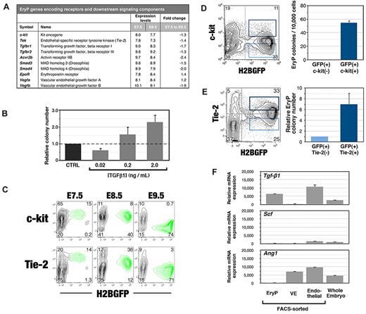 Figure 5. Growth factor and cytokine pathways in primitive erythroid progenitors. (A) Changes in expression of genes encoding growth factor or cytokine receptors and downstream signaling components in E7.5 and E8.5 EryPs. Shown in this table are median expression levels (log2) from the microarray and linear fold change in expression. (B) Effect of TGF-β1 on formation of EryP progenitors. EryPs were FACS sorted from whole E8.5 embryos and plated in the methylcellulose colony assays in the presence of the indicated concentrations of TGF-β1. Data represent the average of triplicate samples from 4 experiments; error bars represent SEM. (C) Expression of c-kit and Tie-2 protein on EryP at E7.5, E8.5, and E9.5. (D) c-kit marks EryP progenitors within the GFP(+) cell population from E8.5 embryos. Cells were FACS sorted and plated in triplicate in methylcellulose progenitor assays. Colonies were scored at day 5. One representative experiment of 3 is shown; error bars represent SEM (E) Tie-2 marks EryP progenitors within the GFP(+) cell population from E8.5 embryos. Cells were FACS sorted and plated in triplicate in methylcellulose progenitor assays. Colonies were scored at day 5. One representative experiment of 3 is shown; error bars represent SEM (F) Real-time RT-PCR analysis of mRNA expression of Tgf-β1, Ang-1, Scf, and Epo in FACS-sorted EryPs, visceral endoderm, and endothelial cells from YS or in cells from whole embryos at E8.5. Expression levels are shown relative to Ubb.