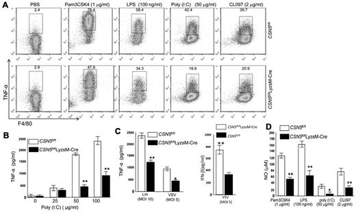Figure 4. CSN5 is required for activation of macrophages. (A) Flow cytometric analysis of expression of TNF-α in macrophages activated with Pam3csk4 or LPS for 30 minutes, poly(I:C) for 5 hours, or CL097 for 3 hours. (B) ELISA of TNF-α production in the presence of different concentrations of poly (I:C) 1 day after stimulation. (C) ELISA of TNF-α and IFNβ production after macrophages were infected with Lm or VSV for 24 hours. BMDMs were stimulated with TLR ligands. The supernatant fluids were collected at 48 hours (D) after the stimulation. Induction of NO was determined by a nitrate and nitrite colorimetric assay kit. **P < .01; ***P < .005. Data are representative of 4 experiments (n = 5).