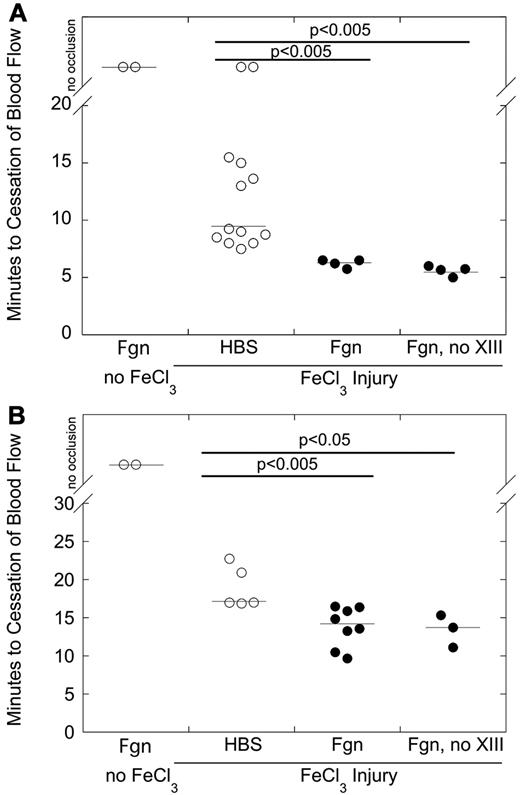 Figure 1. Elevated fibrinogen shortens the time to vessel occlusion after FeCl3 injury. Wild-type C57Bl/6 mice were infused with HBS or fibrinogen (plasminogen-, fibronectin-, and VWF-depleted or plasminogen-, fibronectin-, VWF-, and factor XIII-depleted) to 170% of normal. Thrombosis was induced by FeCl3 application to the carotid artery (A) or saphenous vein (B), and the TTO was determined by flow probe or Doppler, respectively. In vessels that did not occlude, the TTO was recorded as 45 minutes. Each point represents a separate mouse. Lines indicate median values.