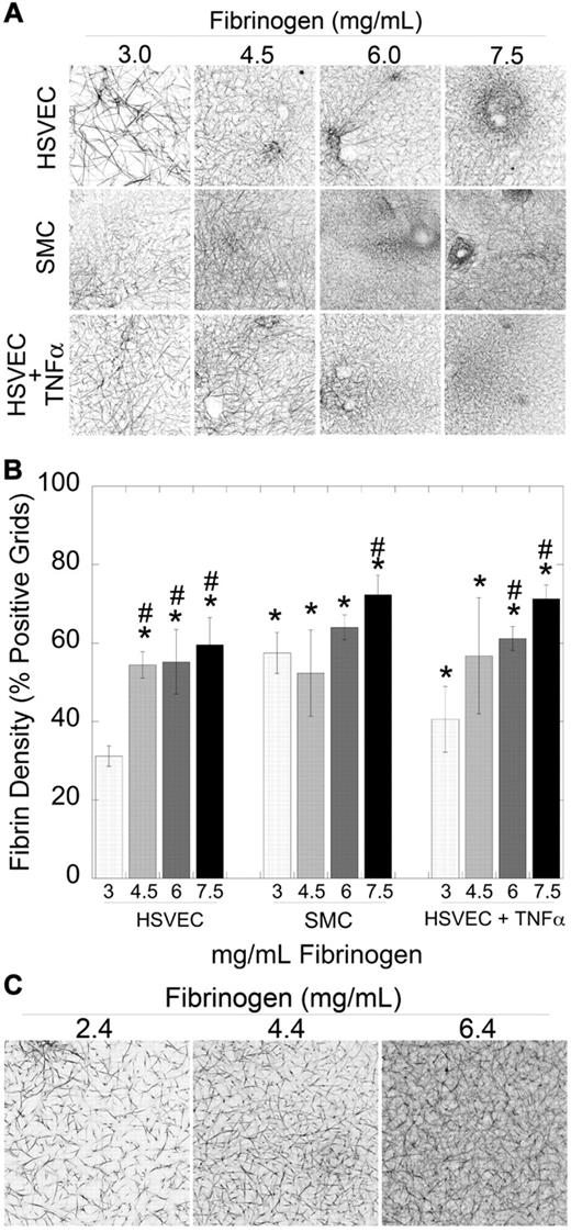 Figure 4. Both cellular PCA and the fibrinogen level modulate fibrin network density. (A-B) Clots were formed by incubating unstimulated HSVECs, SMCs, and TNF-α–stimulated HSVEC monolayers with recalcified human NPP spiked with human fibrinogen or BSA, as indicated, and imaged by laser scanning confocal microscopy as described.18,19 (A) Representative micrographs (146 × 146 μm, xy) show 3-dimensional projections from 10-μm stacks at the cell surface (n ≥ 3). Darker areas represent increased fibrin density. (B) Fibrin network density (mean ± SD) of clots was determined as described in “Laser scanning confocal microscopy.” *P < .05 versus 3 mg/mL fibrinogen on HSVECs. #P < .05 versus 3 mg/mL within each cell type. (C) Clots were formed by addition of TF (1:30 000 Innovin) to recalcified murine PPP spiked with human fibrinogen or HBS.