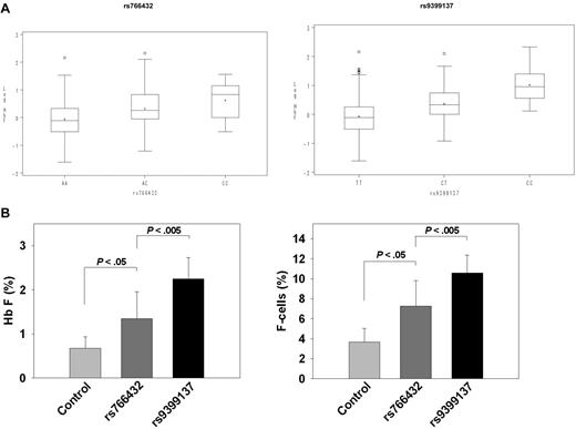 Figure 2. Effect of BCL11A and HMIP QTL upon HbF and F cells. (A) Box plots showing the complete distribution of HbF in 619 Chinese β-thalassemia heterozygotes, expressed as percentage in log scale on the y-axis. Each rectangle represents the data between the 25th and 75th quartiles, and the bar in each rectangle is the median value for the HbF in log scale. rs766432: AA, AC, and CC represent the SNP genotypes for rs766432 in BCL11A on chromosome 2p16. rs9399137: TT, CT, and CC represent the SNP genotypes for rs9399137 in HMIP on chromosome 6q23. (B) Effect of the 3 major HbF QTLs on HbF and F-cell levels in adult β-thalassemia heterozygotes who had HbF and F cells determined. Data are mean ± SD. Control indicates 80 subjects (age, 48.3 ± 9.0 years) who are homozygous for the major alleles for rs7482144 in HBG2 promoter, rs766432 in BCL11A, and rs9399137 in HMIP. rs766432: 8 subjects (age 46.9 ± 9.6 years) with identical HbF QTL genotypes as those in control, except that they are homozygous for the minor allele for rs766432 in BCL11A. rs9399137: 6 subjects (age 40.3 ± 13.8 years) with identical HbF QTL genotypes as those in control, except that they are homozygous for the minor allele for rs9399137 in HMIP.