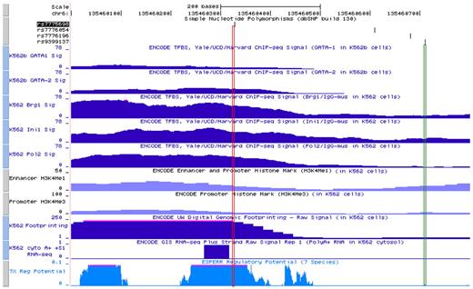Figure 6. ENCODE data display beginning from the top row down of ChIP-seq signals in K562 cells on occupancy of GATA-1, GATA-2, BRG1, Ini1, RNA polymerase 2, and histones H3K4Me1 and H3K4Me3. Also shown is genomic footprinting, RNA transcript22,23 both also in K562 cells and ESFERR regulatory potential,24 among different species. The vertical red lines represent the site of the 3-bp deletion polymorphism (chromosome 6: 135 460 326-135 460 328), which is in complete LD with rs9399137. The green lines represent the site of rs9399137 (chromosome 6: 135 460 711), the SNP that was found in multiple GWASs to have the most significant P value in HbF association. These ENCODE data were generated by the ENCODE consortium and are available on the Genome Browser at UCSC.21 The GATA-1, GATA-2, BRG1, Ini1, and RNA Polymerase II ChIP-Seq data were generated by the laboratories of M. Snyder, M. Gerstein, and S. Weissman at Yale; P.J. Farnham at the University of California-Davis; and K. Struhl at Harvard. The H3K4Me1 and H3K4Me3 data were generated by the Bernstein Laboratory at the Broad Institute. The Digital Genomic Footprinting data were generated by the University of Washington ENCODE group. The GIS RNA-seq data were generated by the Genome Institute of Singapore.