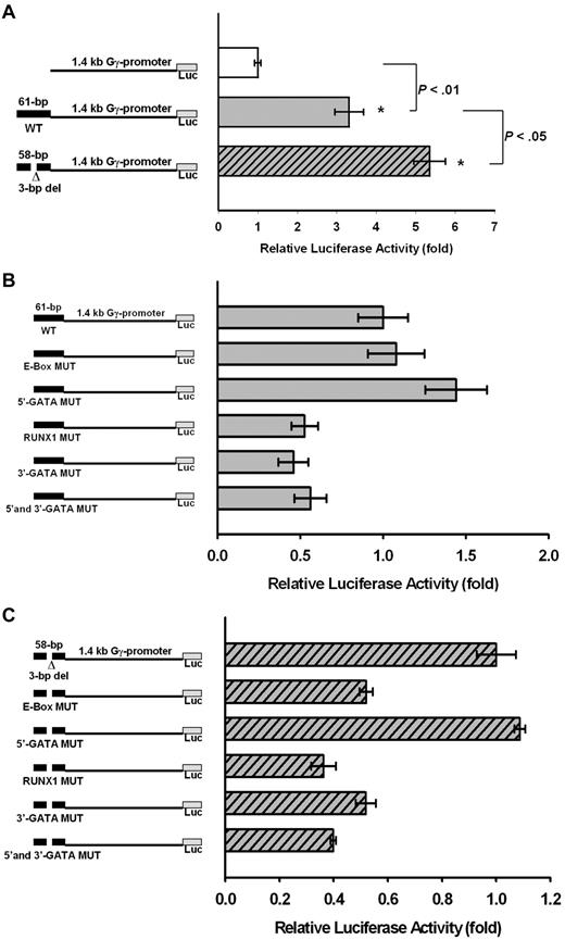 Figure 7. Enhancer-like activity of the DNA fragment encompassing the 3-bp deletion. (A) Enhancer-like activity of the 61-bp DNA fragment surrounding the 3-bp deletion polymorphism on HBG2 proximal promoter linked to a luciferase expression vector. The luciferase activity of the plasmid without the 61-bp DNA fragment was normalized to be 1.0. The 61-bp DNA fragment enhances the HBG2 promoter activity to 3.4-fold of the control. The 58-bp DNA fragment with the 3-bp deletion enhances the HBG2 promoter activity to 5.4-fold of the control. (B) Effect of mutation of transcription factor binding sites in the 61-bp DNA fragment on its enhancer-like activity. The luciferase activity of the plasmid with the 61-bp DNA fragment was normalized to be 1.0. Mutation of either RUNX1 or 3′ GATA binding site down-regulates the enhancer-like activity to 50%. Mutation of the E-box or 5′ GATA binding site does not decrease the enhancer-like activity of the DNA fragment. (C) Effect of mutation of transcription factor binding sites in the 58-bp DNA fragment with the 3-bp deletion on its enhancer-like activity. The luciferase activity of the plasmid with the 58-bp DNA fragment was normalized to be 1.0. Mutation of the E-box, RUNX1, or 3′ GATA binding site down-regulates the enhancer-like activity to approximately 50%. Mutation of the 5′ GATA binding site does not decrease the enhancer-like activity of the DNA fragment.
